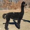 Andes Acres Vienna /Purchase Price: $6500
